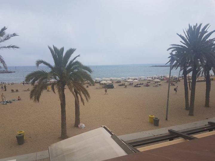 20645691_10154852240263870_2055225072_n