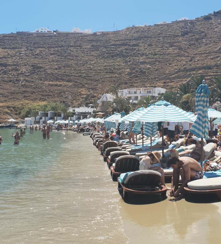 67135200_883100598729458_1782391026745344000_n